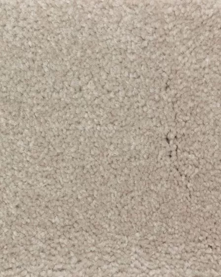 Clever Fashion II Tahoe Taupe Carpet