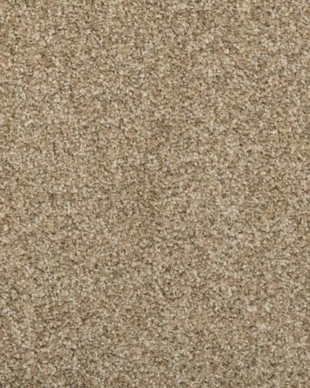 Colorful Mix II 832 Textured Carpet