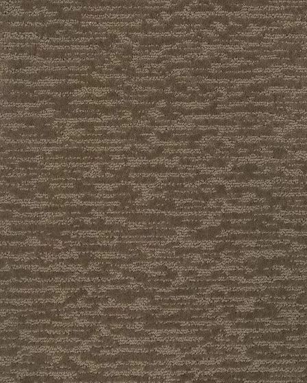 Composed II Tortoise Shell Carpet