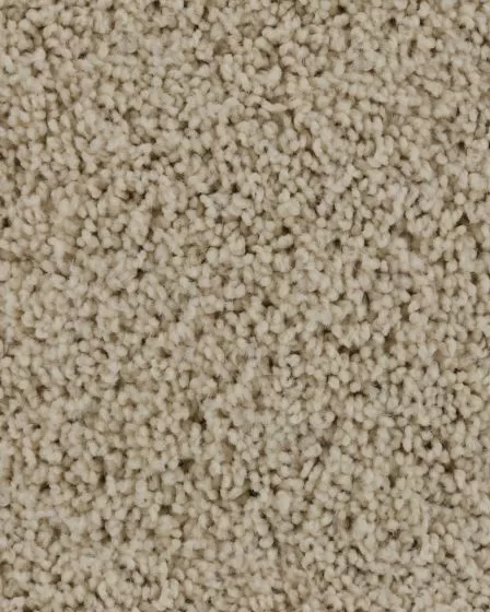 Confident Beauty Textured SmartStrand Carpet