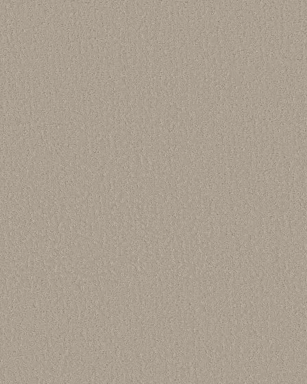 Crafted Tone 43oz Pet Friendly Patterned Carpet