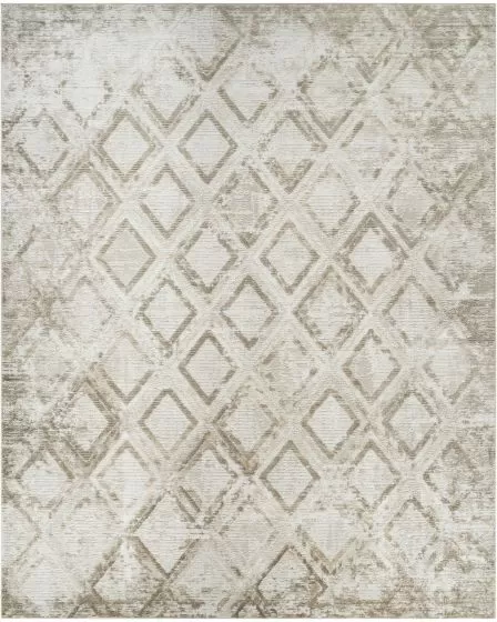 Dekor DEK05 Ivory Taupe 2'x4' Area Rug