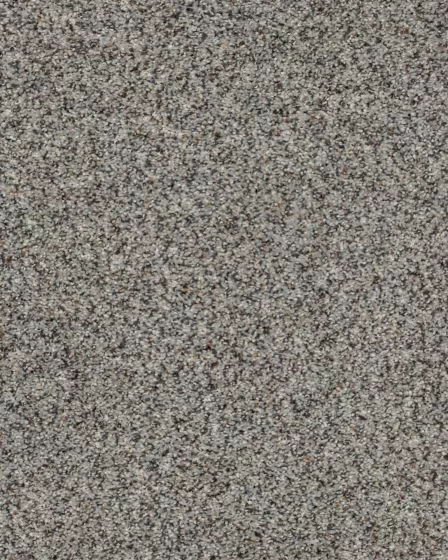 Delightful Statement SmartStrand Textured Carpet