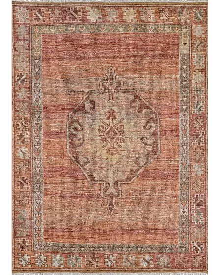 Desi Udaipur Rust 6'x9' Area Rug