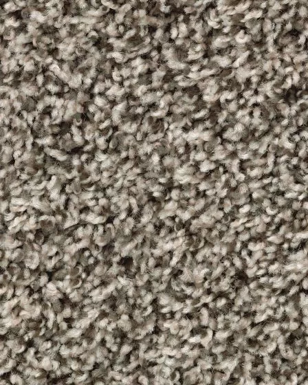 Designers Touch Textured Triexta 25oz Carpet