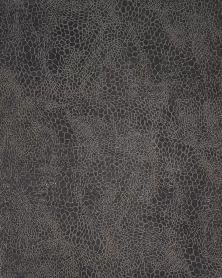 Desire DSR08 Charcoal Silver Area Rug