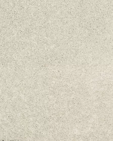 Diffurent Choice II 45oz Pet Friendly Carpet