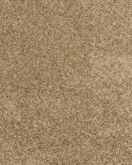 Diffurent Choice I 32oz Pet Friendly Carpet