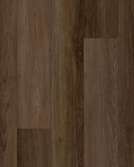 Discovery Ridge SolidTech Essentials Cup O Java Vinyl