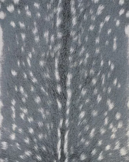 Dolce Hyena Denim-Silver Area Rug