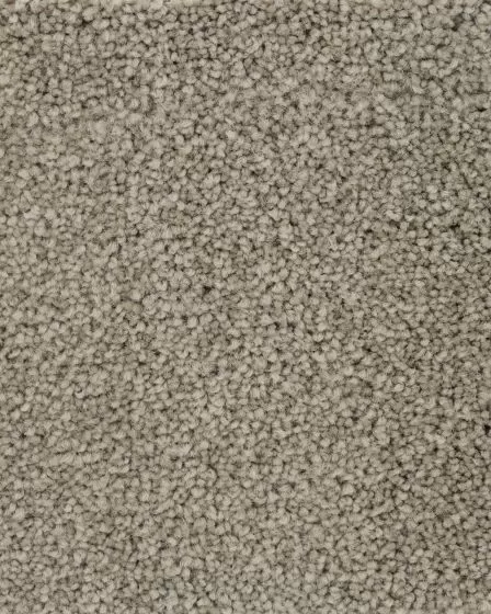 Dove Creek Joyful Prelude Carpet