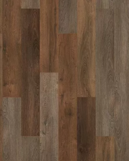 Explorers Cove SolidTech Select Shadow Woodlands Luxury Vinyl