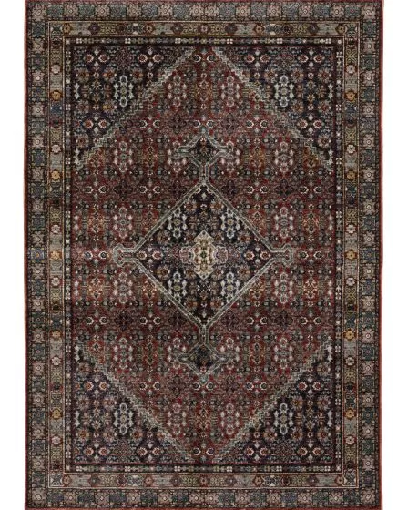 Eliana ELI06 Red/Multi Area Rug