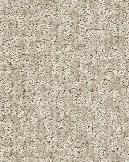 Emergence Patterned Pet Friendly 39oz Carpet