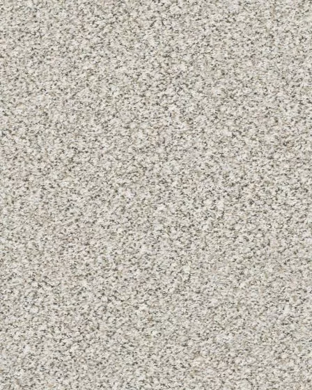 Estes Park Textured Nylon 38oz Carpet