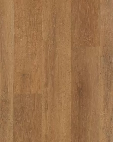 Explorers Cove SolidTech Select Stormy Sands Luxury Vinyl