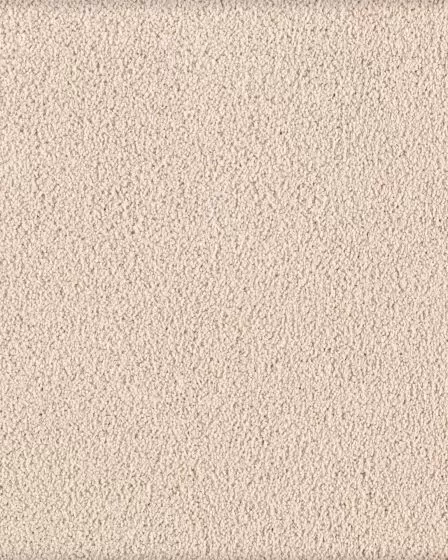 Fashion Culture December Lace Carpet