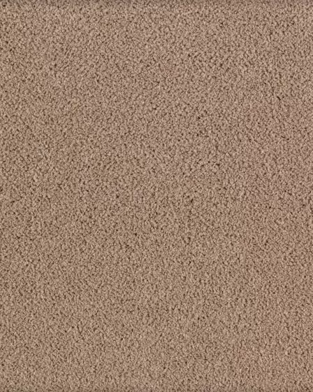 Fashion Culture Sandalwood Carpet