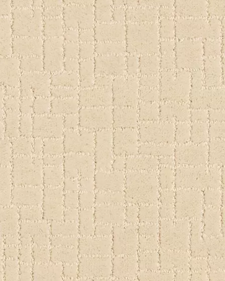 Faux Paw Pet Friendly Nylon 25oz Carpet