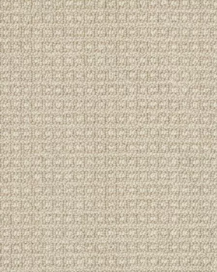 Fetch Pet Friendly Nylon 31oz Pattern Carpet