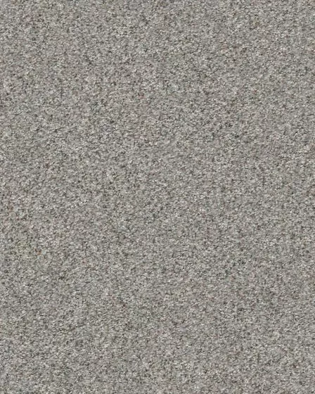 Find Your Comfort Accent II Nylon Carpet