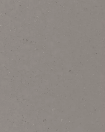 Fossil Gray Quartz Countertop