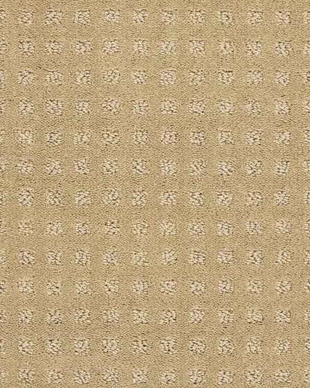 Fuji Nylon Patterned 34oz Carpet