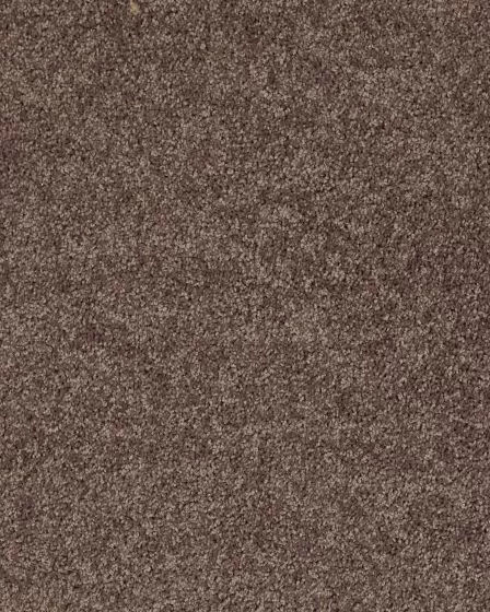 Full Court Textured Polyester Carpet
