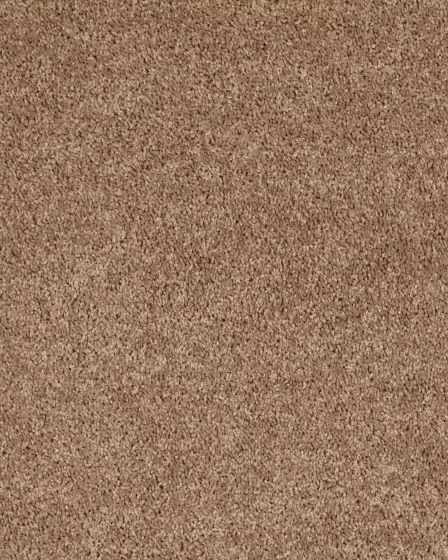Full Court Taffy Carpet