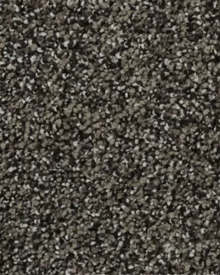 Celestia Masonry Carpet