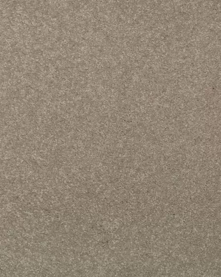 Stylish Grace Textured 55oz SmartStrand Carpet