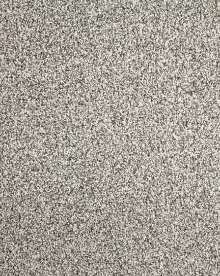 Detailed Statement Textured SmartStrand Carpet