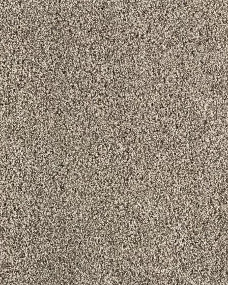 Detailed Statement Textured SmartStrand Carpet