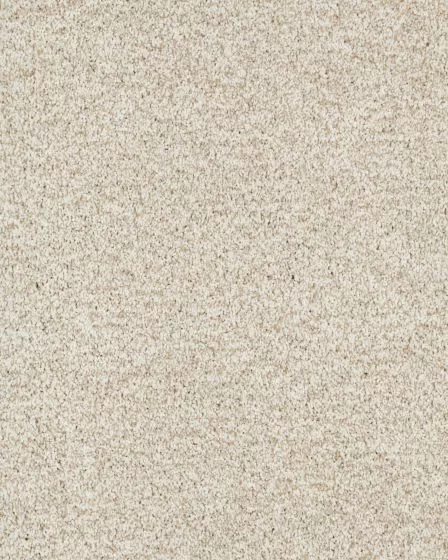 Stylish Connection Textured 45oz Nylon Carpet