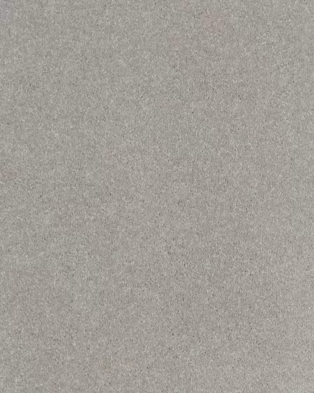 Impressive Shades Textured 50oz Carpet