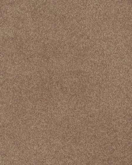 Opulent Tradition Textured Nylon 65oz Carpet