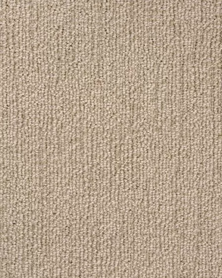 True North Patterned Nylon Blend Carpet