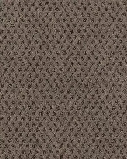Timeless Effects Enduring Patterned 45oz SmartStrand Carpet