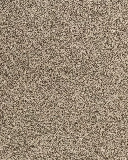 Candor Balsam Carpet
