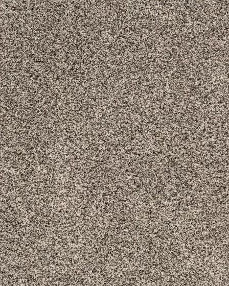 Candor Versatile Carpet