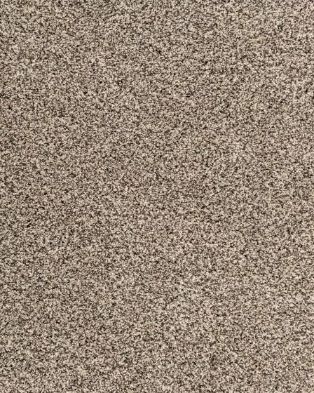 Candor Artful Carpet