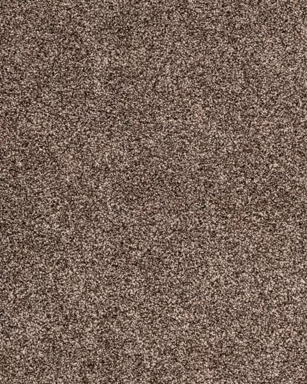 Candor Imperial Carpet