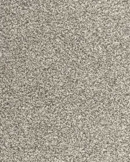 Candor Harmony Carpet