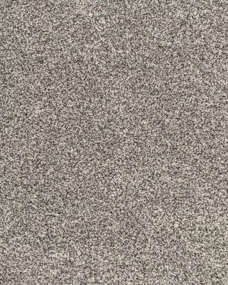 Candor SmartStrand Textured 43oz Carpet
