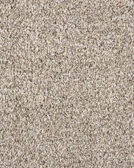 Leon Aurora Textured 40oz SmartStrand Carpet