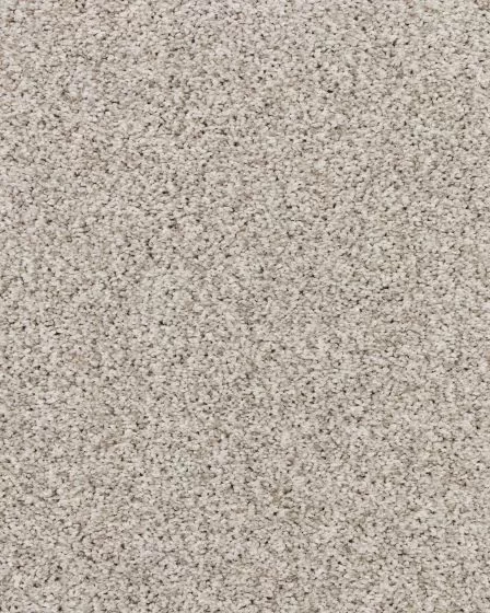 Apollo Bay Holzer Textured 45oz SmartStrand Carpet
