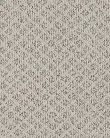 Xpressions Patterned Smartstrand 30oz Carpet