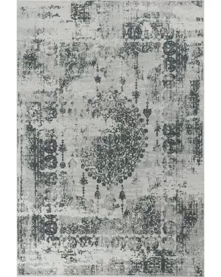 Generations 7001 Grey Antiquities Area Rug