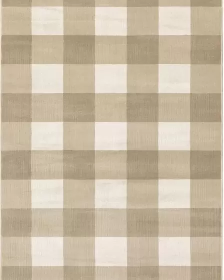 Georgia 678a Beige/Ivory Area Rug