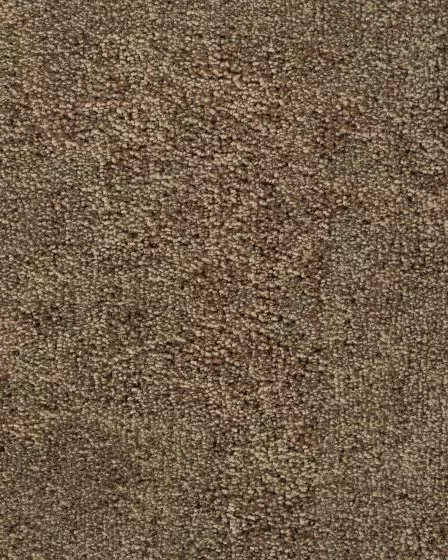 Graceful Balance Gentle Fawn Carpet